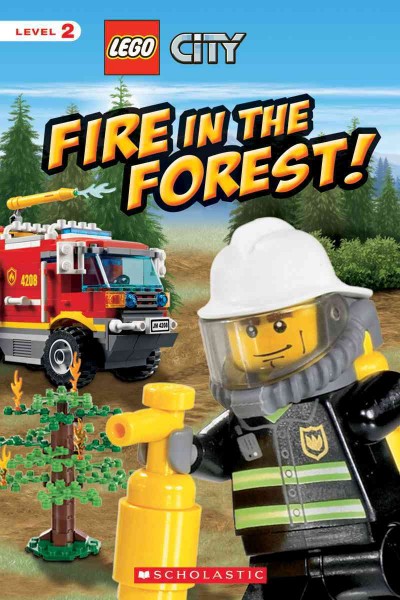 Lego City [Paperback] : Fire in the forest / illustrated by Kenny Kiernan.