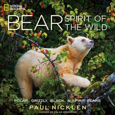 Bear : spirit of the wild / Paul Nicklen.