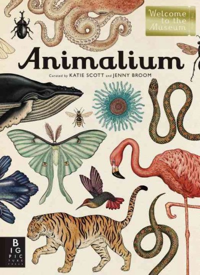 Animalium / illustrated by Katie Scott ; written by Jenny Broom ; curated by Katie Scott and Jenny Broom.