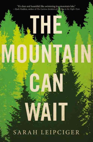 The mountain can wait : a novel / Sarah Leipciger.