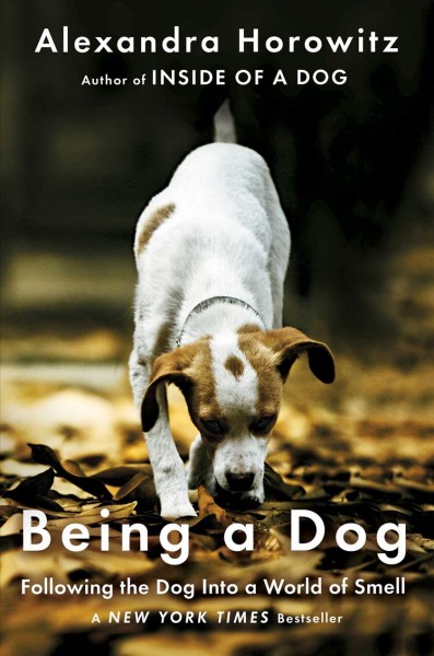 Being a dog : following the dog into a world of smell / Alexandra Horowitz.