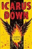 Icarus down / James Bow.