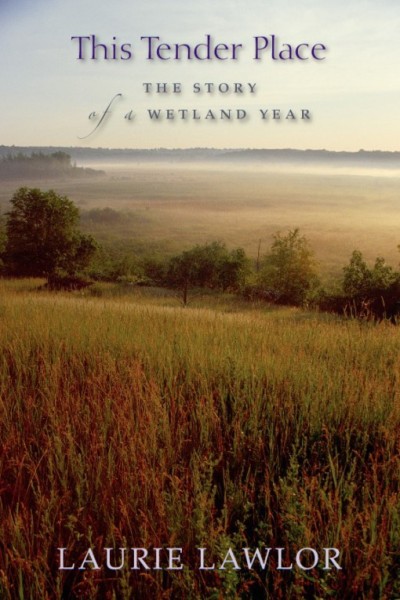 This tender place : the story of a wetland year / Laurie Lawlor.