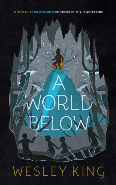 A world below / Wesley King.