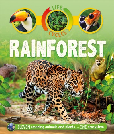 Rainforest / Sean Callery ; consultant: David Burnie.