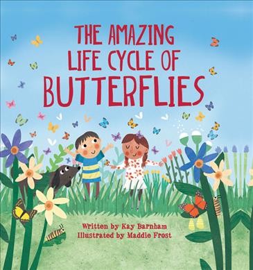 The amazing life cycle of butterflies / written by Kay Barnham ; illustrated by Maddie Frost.