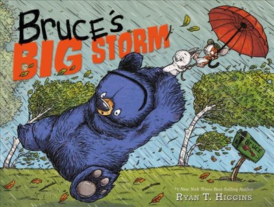 Bruce's big storm / Ryan T. Higgins.