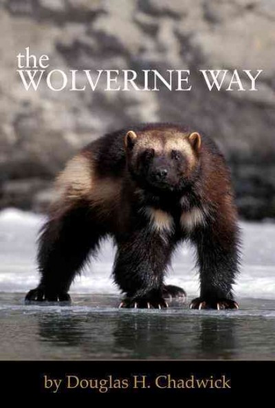 The wolverine way / by Douglas H. Chadwick.