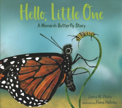 Hello, little one : a monarch butterfly story / Zeena M. Pliska ; illustrated by Fiona Halliday.