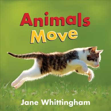 Animals move / Jane Whittingham.