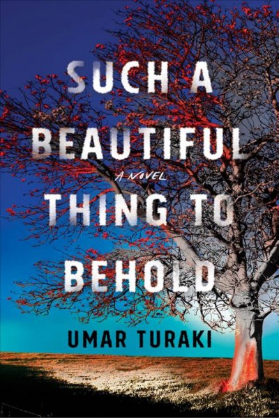 Such a beautiful thing to behold : a novel / Umar Turaki.