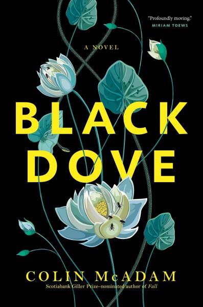 Black dove : a novel / Colin McAdam.