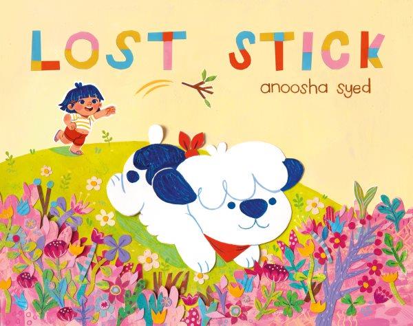 Lost stick / Anoosha Syed.