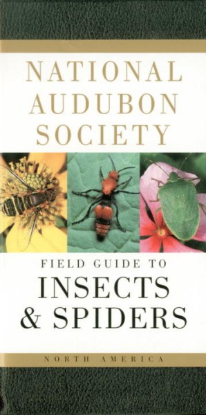 National Audubon Society field guide to insects & spiders / Lorus and Margery Milne.