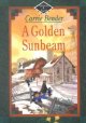 A golden sunbeam  Cover Image