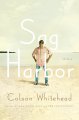 Go to record Sag Harbor : a novel