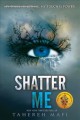 Go to record Shatter me