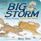 The big storm : a very soggy counting book  Cover Image
