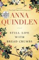 Go to record Still Life with Bread Crumbs : a novel