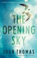 The opening sky : a novel  Cover Image