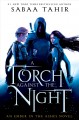 Go to record A torch against the night: a novel