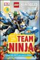Team Ninja  Cover Image