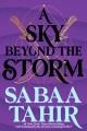 Go to record A Sky Beyond the Storm